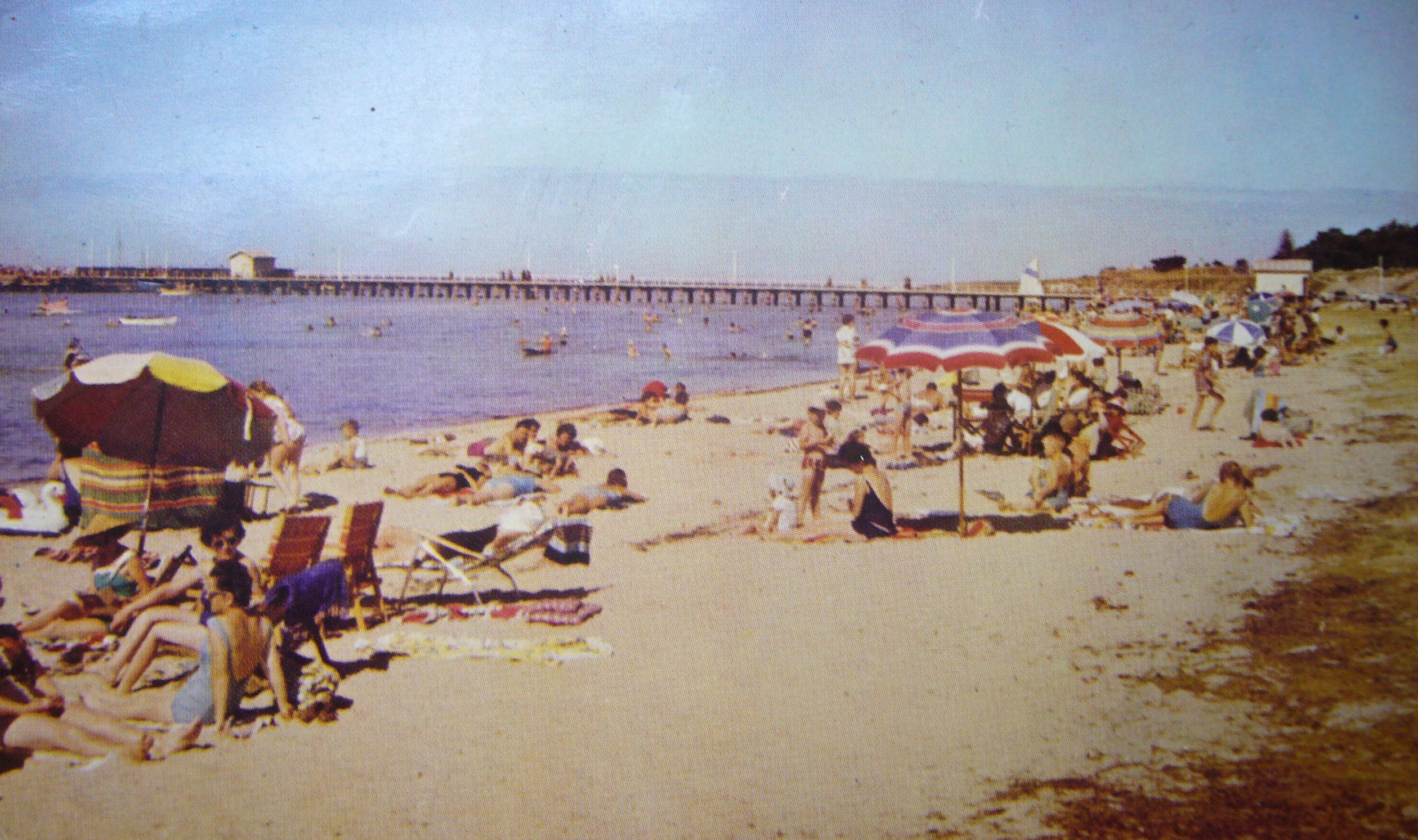 ​1986 Portarlington